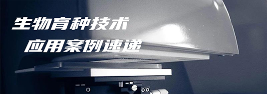 应用案例