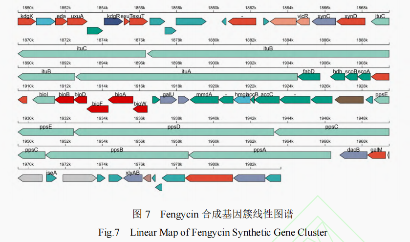 图片3